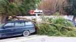 ΡΟΔΟΣ-ΤΩΡΑ! Tεράστιος κλώνος δένδρου καταπλάκωσε 2 αυτοκίνητα. (φωτογραφίες)